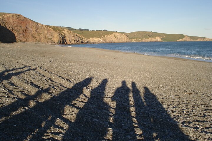 Private Day Scenic Excursion to Akaroa/Christchurch ex Lyttelton