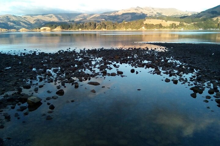Private Day Scenic Excursion to Akaroa/Christchurch ex Lyttelton