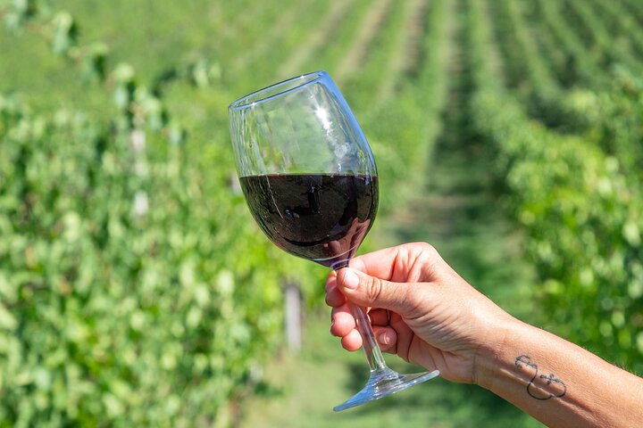 Private tastings at the Colombina Agricultural Company