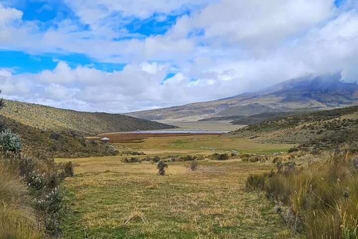 Strenuously Cotopaxi Volcano and birding by the lagoon