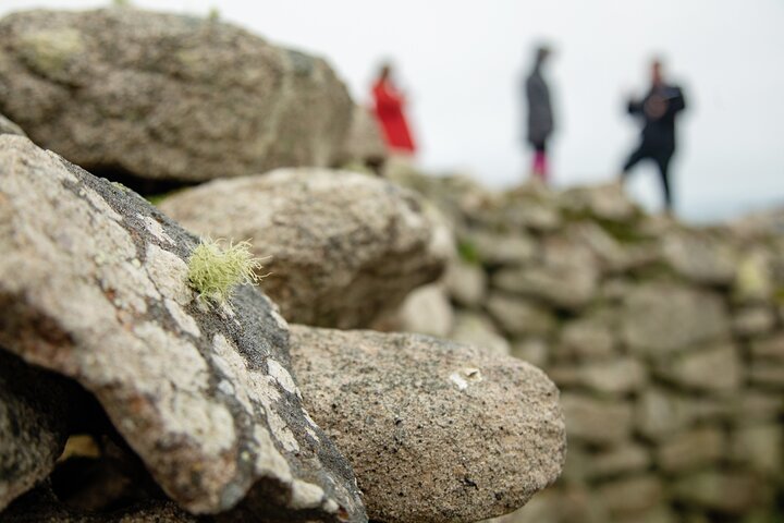 Private Tour of West Cornwall Highly Varied Full Day Experience