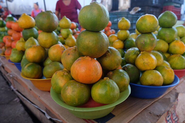 Walled City Tour of Campeche + Fort San Miguel