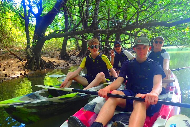 Okinawa Ishigaki Mangrove SUP or Canoe Tour