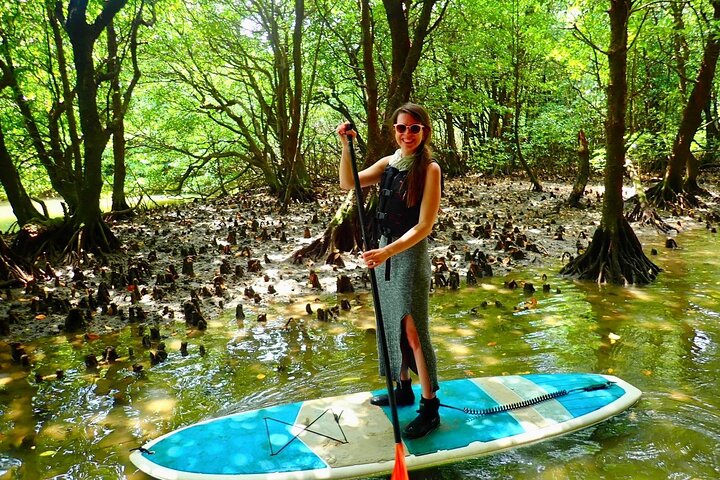 Okinawa Ishigaki Mangrove SUP or Canoe Tour