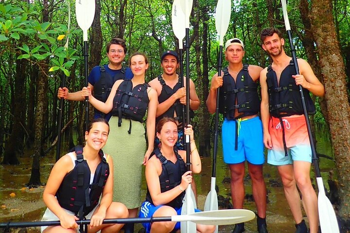 Okinawa Ishigaki Mangrove SUP or Canoe Tour