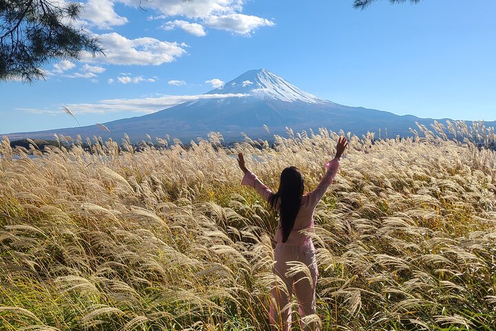 Locally Owned: Private Mt. Fuji Icons & Hidden Gems (Kawaguchiko)