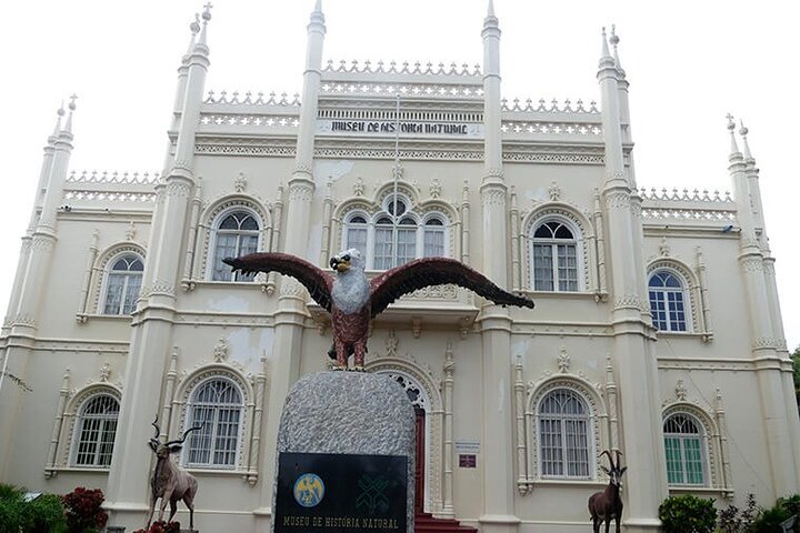Private Maputo Full-Day Tour: History, Culture & Local Life