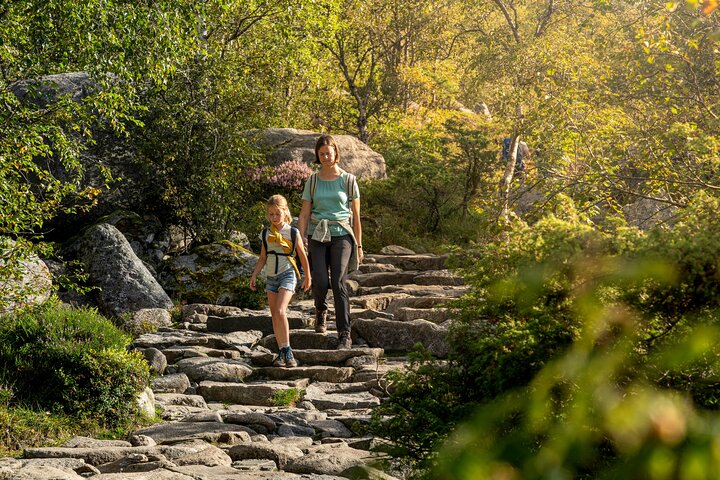 Preikestolen | Pulpit Rock - Hike with an expert guide