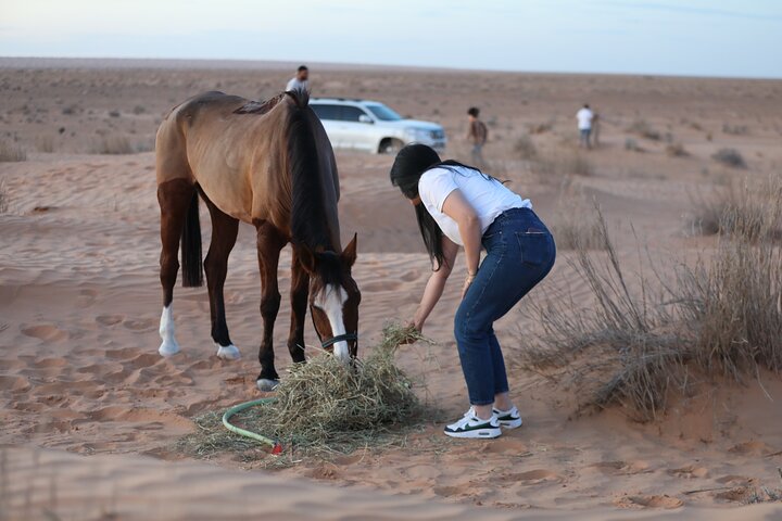 The authentic Tozeur on horseback with private transfer