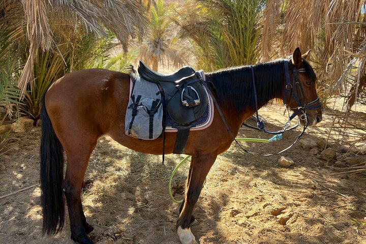 The authentic Tozeur on horseback with private transfer