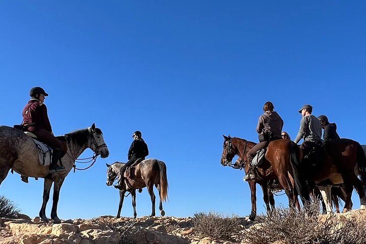 The authentic Tozeur on horseback with private transfer