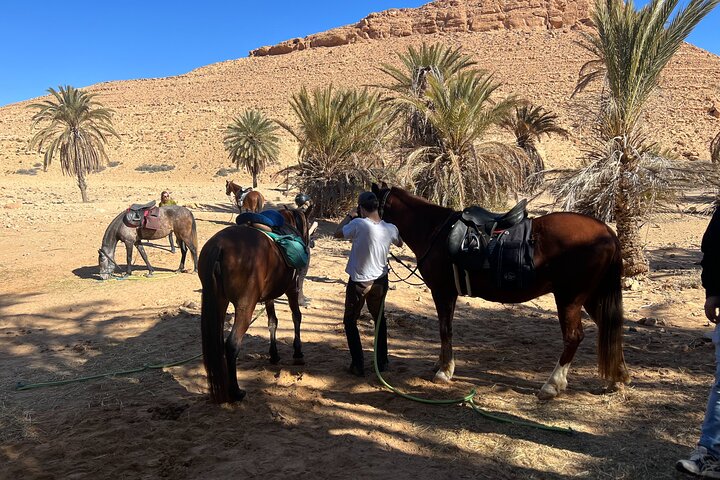 The authentic Tozeur on horseback with private transfer