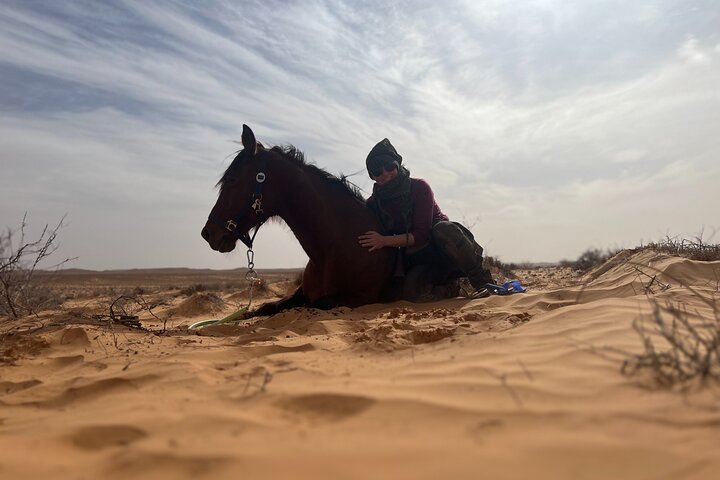 The authentic Tozeur on horseback with private transfer