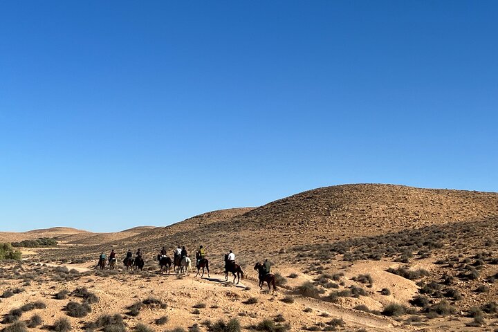 The authentic Tozeur on horseback with private transfer
