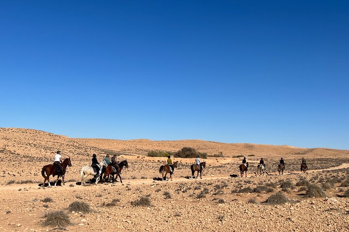 The authentic Tozeur on horseback with private transfer