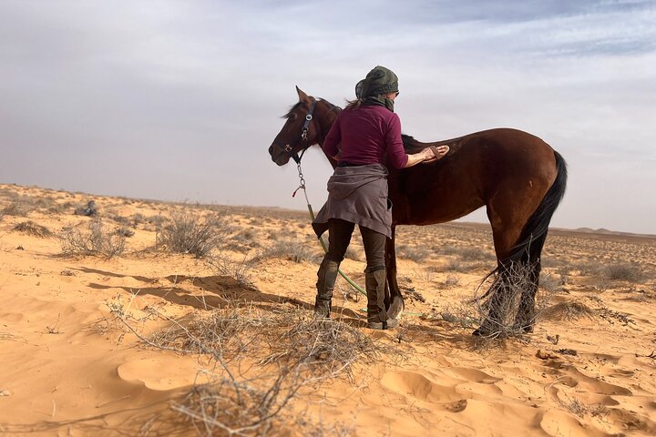 The authentic Tozeur on horseback with private transfer