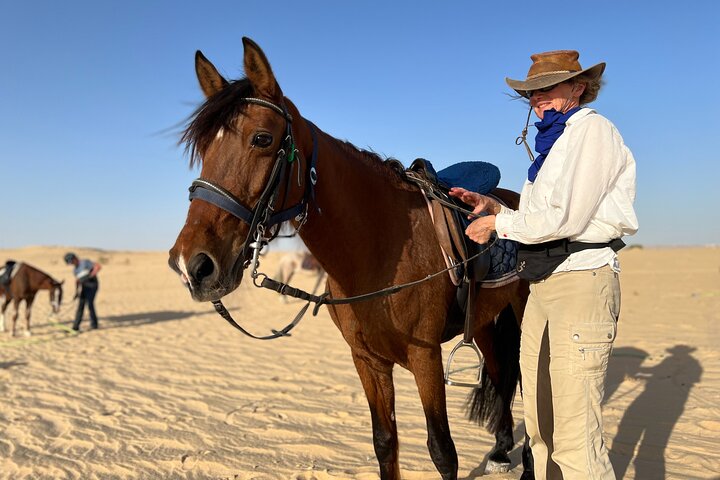 The authentic Tozeur on horseback with private transfer