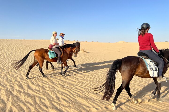 The authentic Tozeur on horseback with private transfer