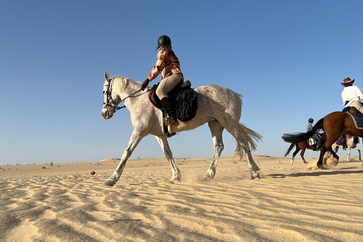The authentic Tozeur on horseback with private transfer