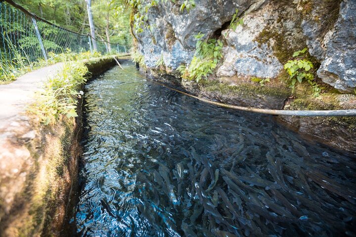 Day Trip from Belgrade: Gems of Eastern Serbia