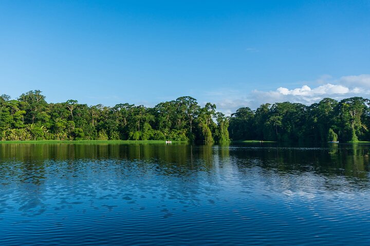 Tortuguero:Canoe tour, day hike, hill tour, night or spawning tour