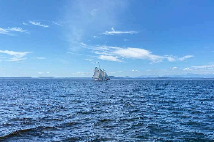 Seattle Sailing Harbor Tour
