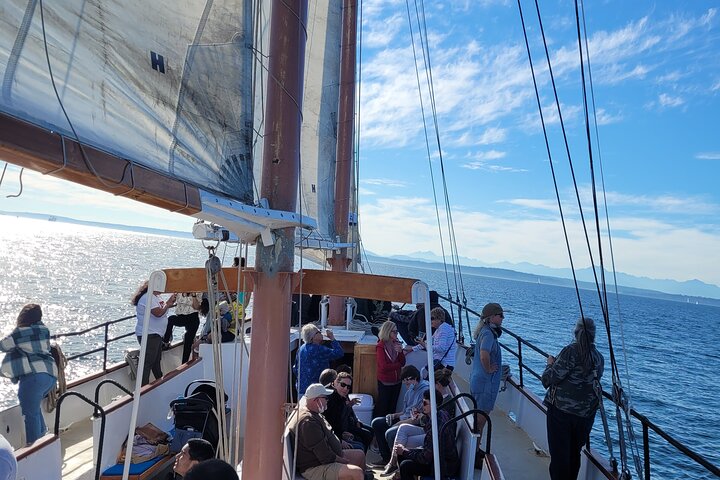 Seattle Sailing Harbor Tour