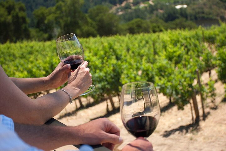 Winery Tour and tasting