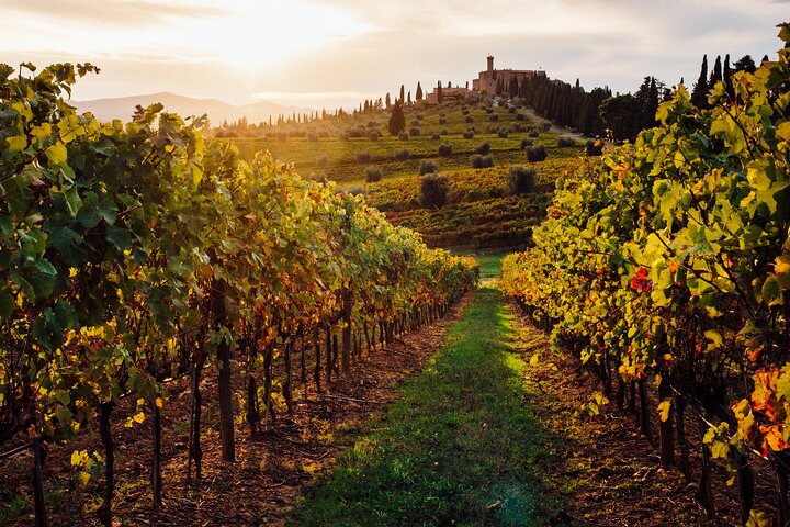 Winery Tour and tasting