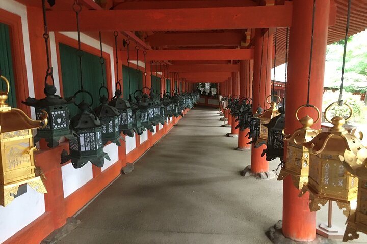 Nara Half Day Trip Walking Tour (Private Option Available)