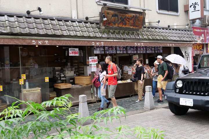 Nara Half Day Trip Walking Tour (Private Option Available)