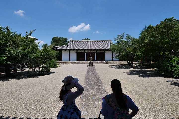 Nara Half Day Trip Walking Tour (Private Option Available)