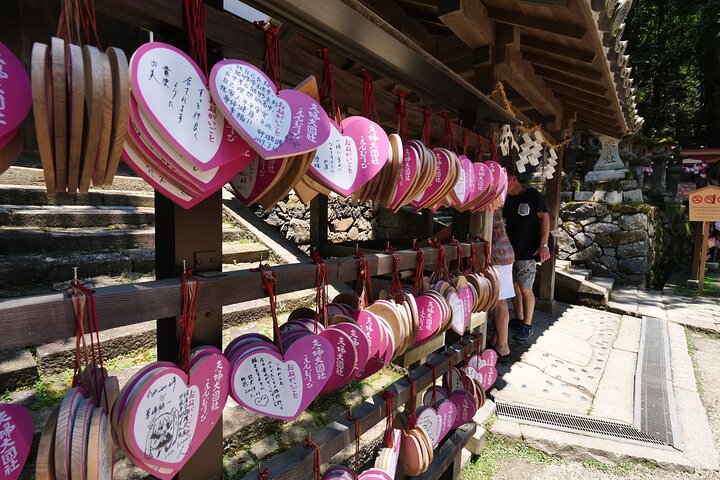 Nara Half Day Trip Walking Tour (Private Option Available)