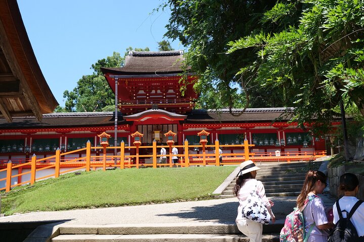 Nara Half Day Trip Walking Tour (Private Option Available)