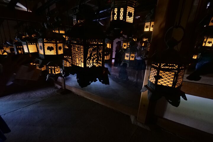 Nara Half Day Trip Walking Tour (Private Option Available)