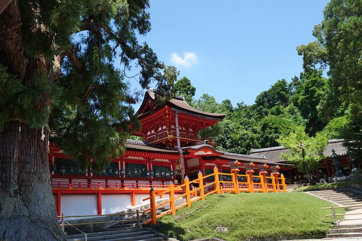 Nara Half Day Trip Walking Tour (Private Option Available)