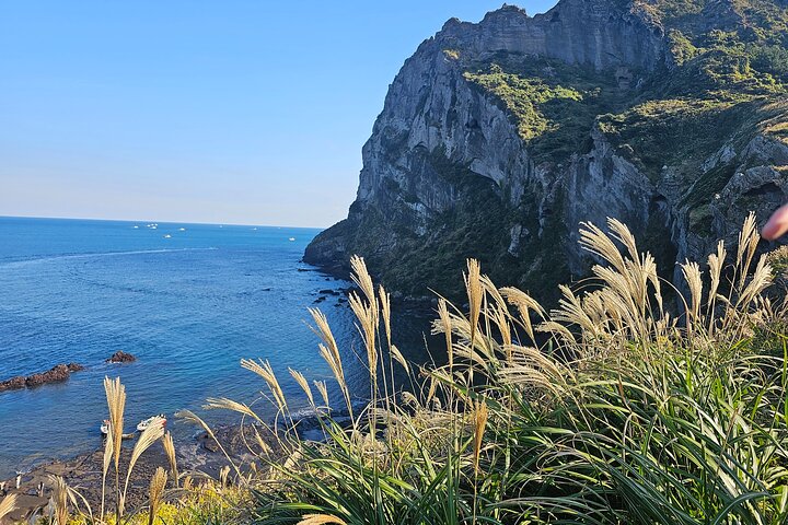 Package tour of All areas of Jeju Island-(East &South &West)