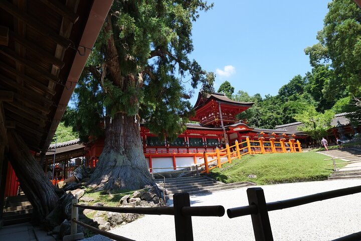 Nara Half Day Trip Walking Tour (Private Option Available)