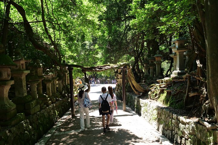 Nara Half Day Trip Walking Tour (Private Option Available)
