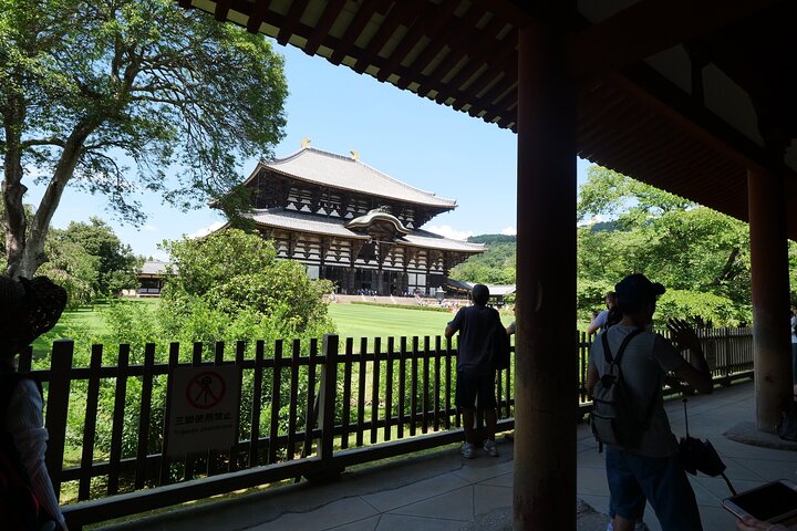 Nara Half Day Trip Walking Tour (Private Option Available)