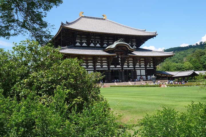 Nara Half Day Trip Walking Tour (Private Option Available)