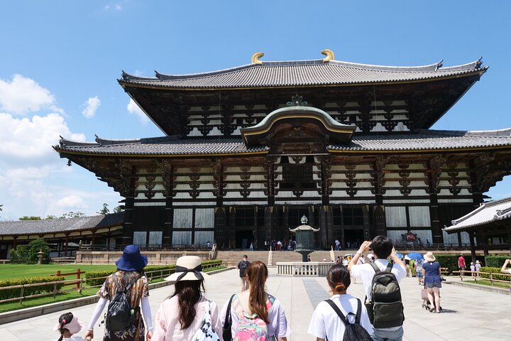 Nara Half Day Trip Walking Tour (Private Option Available)