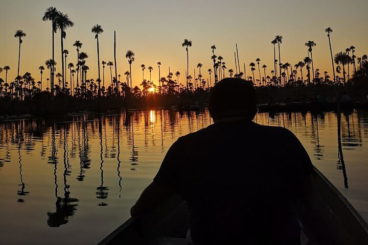 Fishing for Piranhas in Lake Yacumama