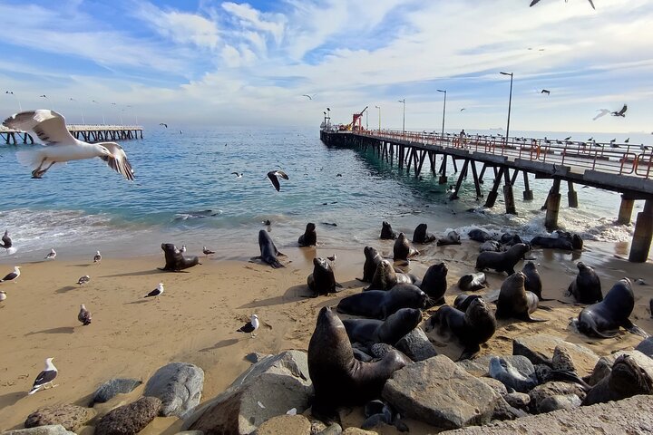 A full Private Tour of Valparaiso from Santiago (Standard)