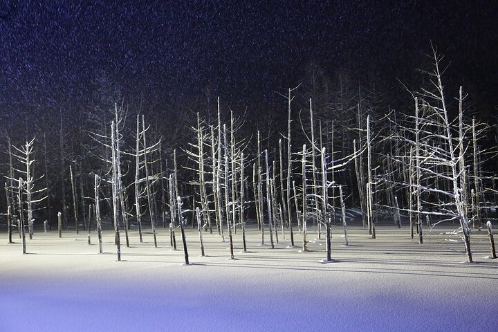 [Biei/Furano] One-day sightseeing by private car!