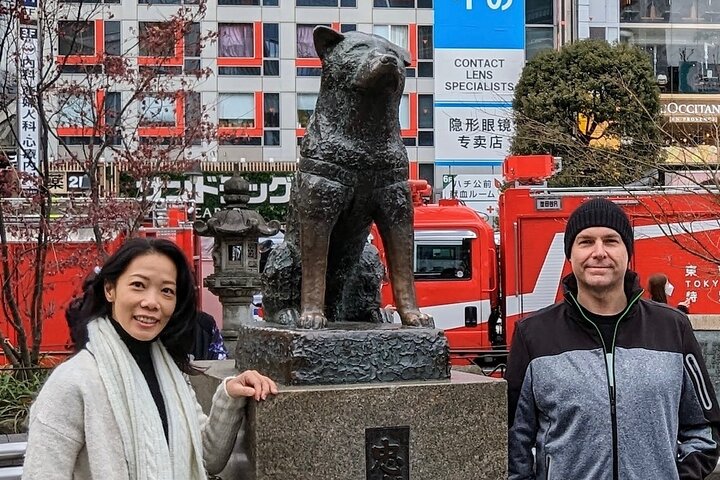 Tokyo Layover Car Tour from NRT: English Driver, No Guide