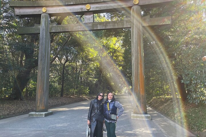 Tokyo Layover Car Tour from NRT: English Driver, No Guide