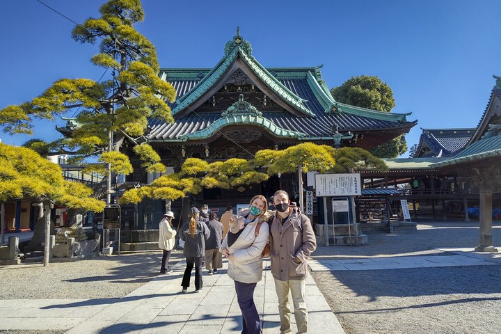 Tokyo Layover Car Tour from NRT: English Driver, No Guide