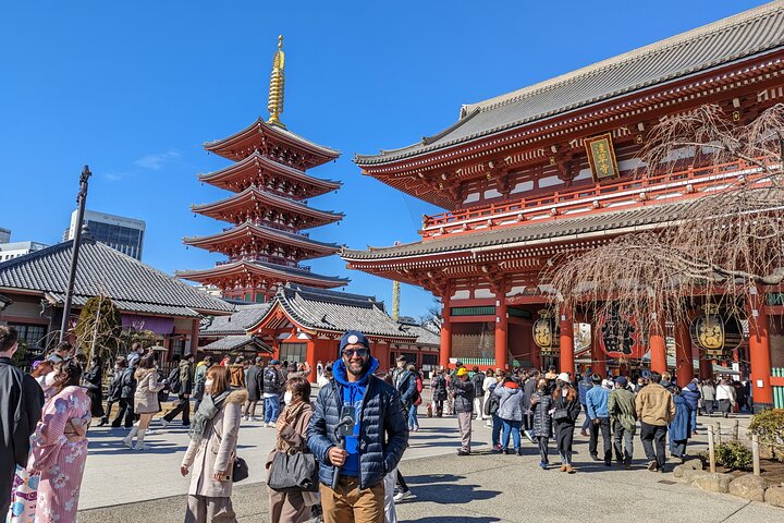 Tokyo Layover Car Tour from NRT: English Driver, No Guide