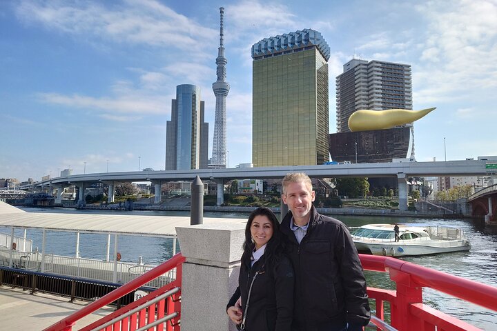 Tokyo Layover Car Tour from NRT: English Driver, No Guide